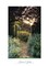 Secret Garden Poster Print by Frontline Frontline - Item # VARPDXF102286